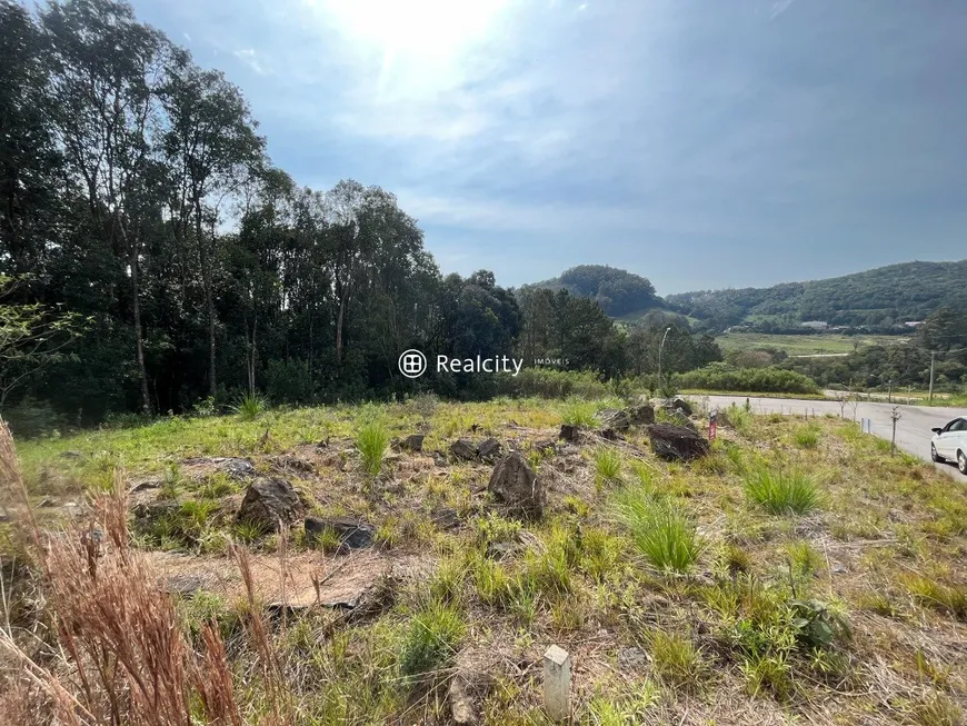 Foto 1 de Lote/Terreno à venda, 272m² em Barracao, Bento Gonçalves