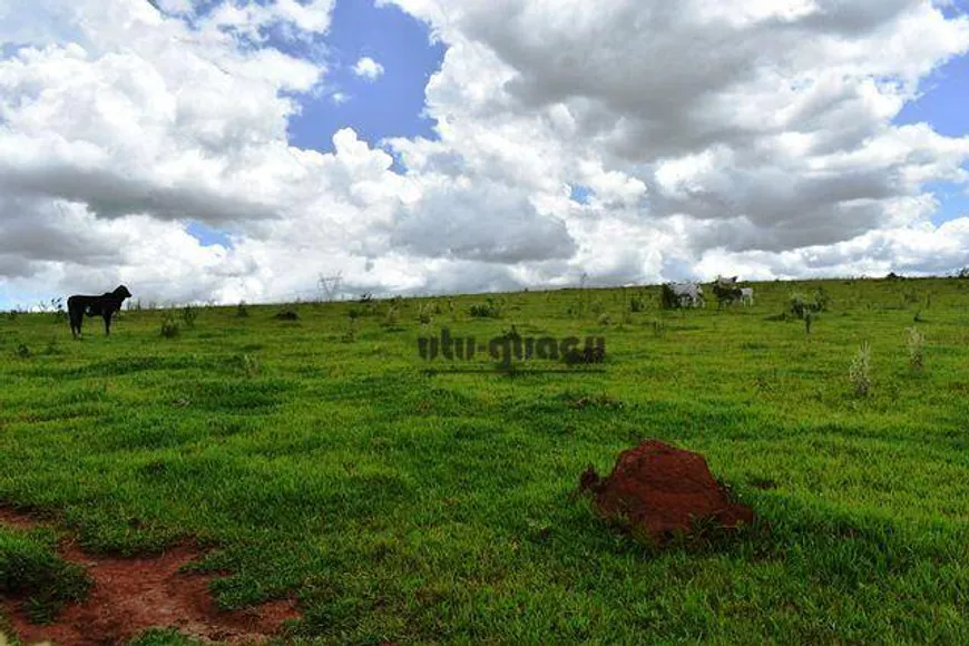 Foto 1 de Fazenda/Sítio à venda, 215380m² em , Porto Feliz