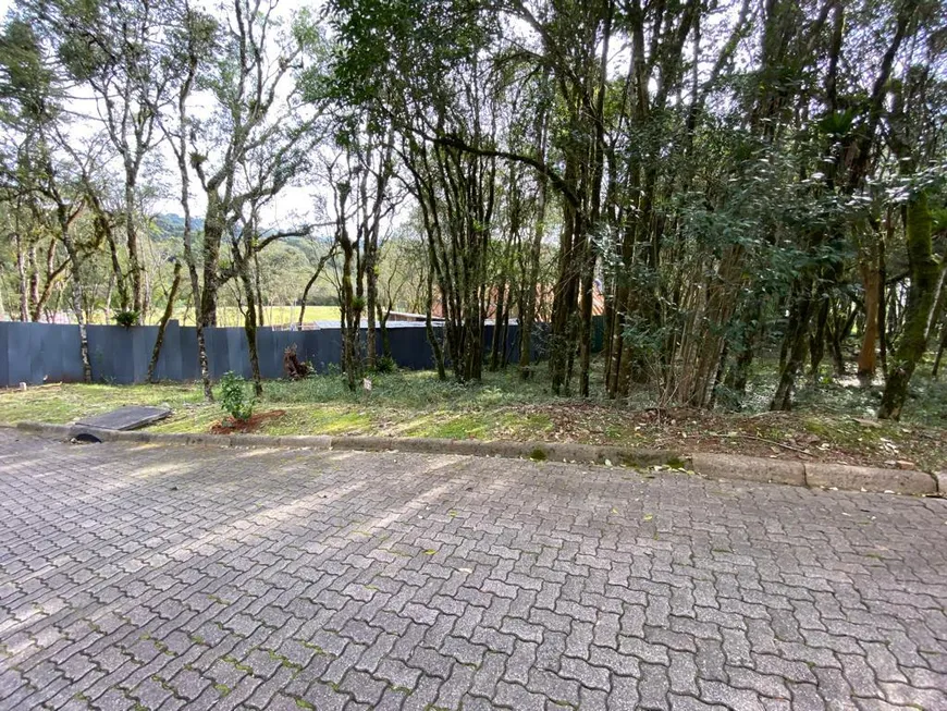 Foto 1 de Lote/Terreno à venda, 714m² em Pinheiro Grosso, Canela