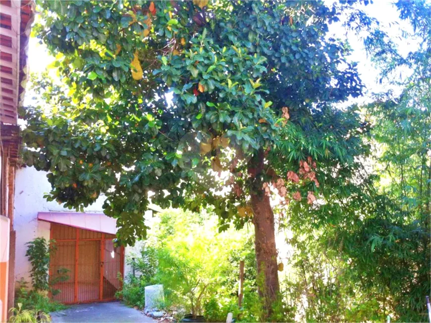 Foto 1 de Lote/Terreno à venda, 500m² em Santana, São Paulo