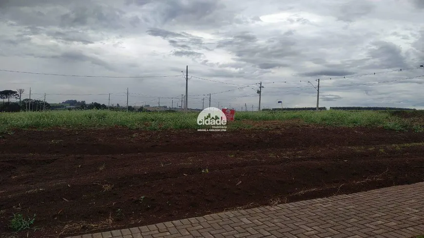 Foto 1 de Lote/Terreno à venda, 301m² em Recanto Tropical, Cascavel