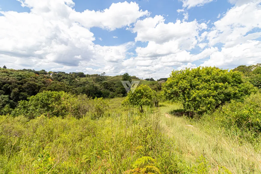 Foto 1 de Lote/Terreno à venda, 5963m² em Colonia Antonio Prado, Almirante Tamandaré