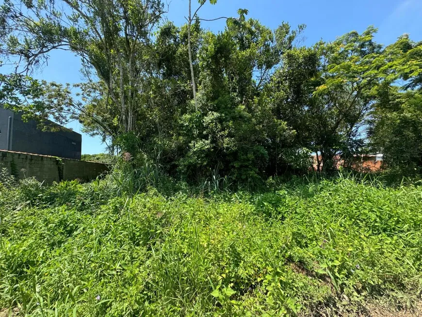 Foto 1 de Lote/Terreno à venda, 312m² em Jardim Palmeiras, Itanhaém