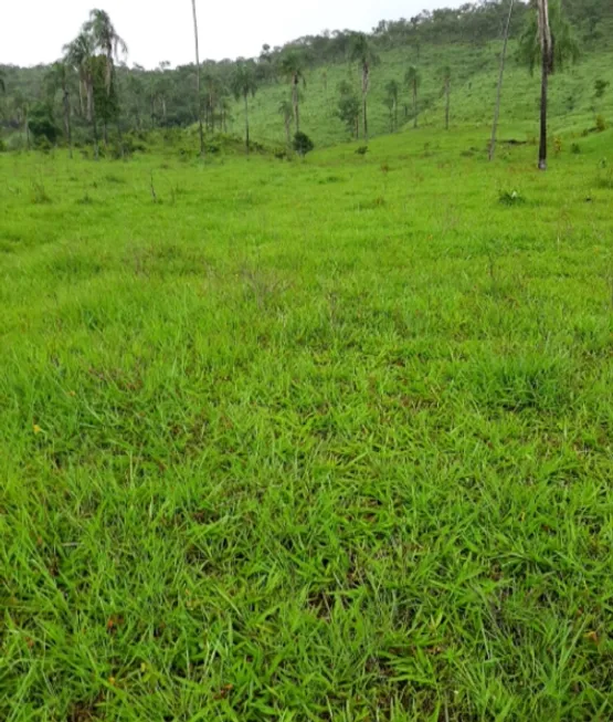 Foto 1 de Fazenda/Sítio à venda em Centro, Minaçu