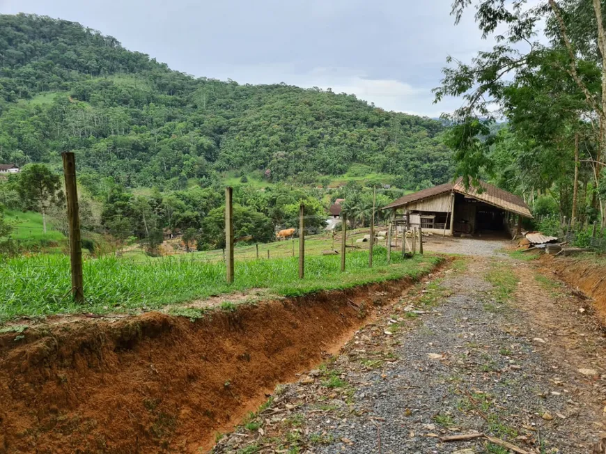 Foto 1 de Fazenda/Sítio com 2 Quartos à venda, 49000m² em Ribeirão Souto, Pomerode