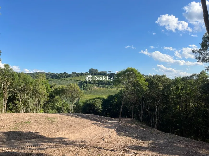 Foto 1 de Lote/Terreno à venda, 28000m² em , Monte Belo do Sul