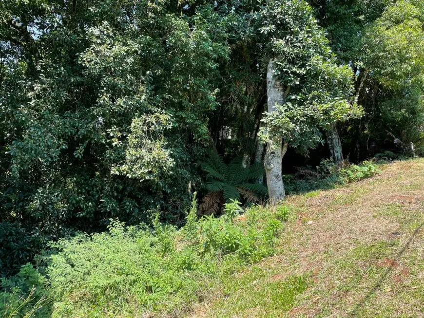 Foto 1 de Lote/Terreno à venda, 1900m² em Lagos do Bosque, Gramado