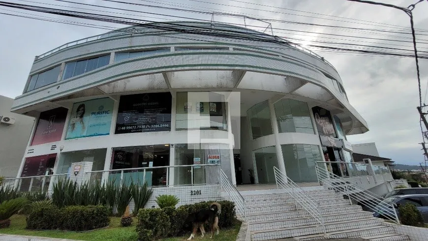 Foto 1 de Sala Comercial à venda, 37m² em Córrego Grande, Florianópolis