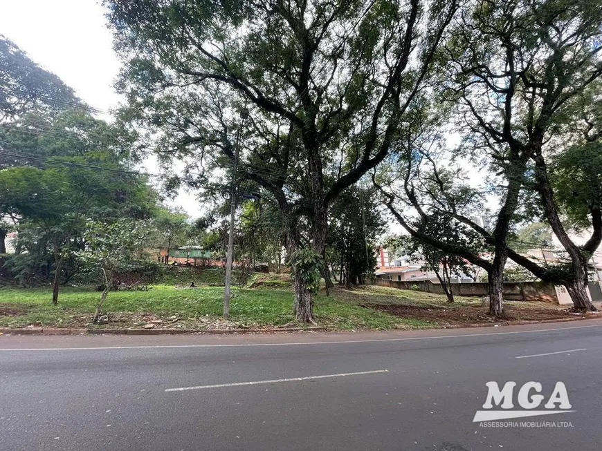 Foto 1 de Lote/Terreno à venda, 1000m² em Centro, Foz do Iguaçu