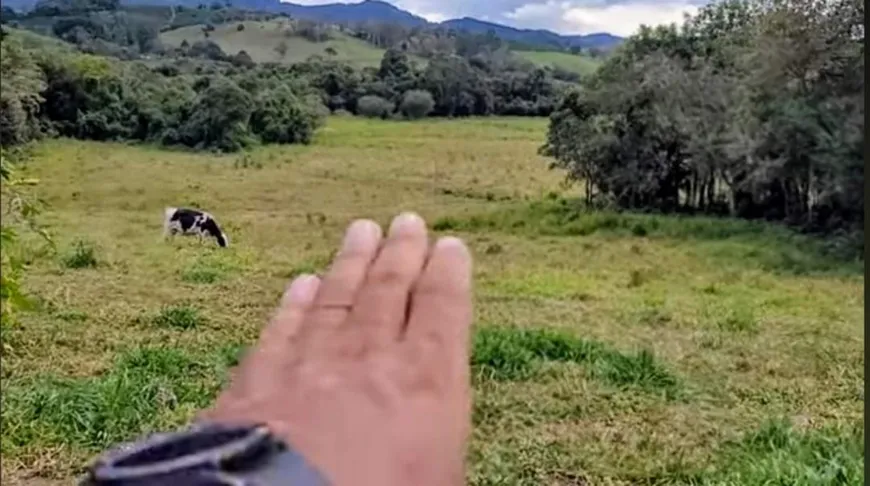 Foto 1 de Fazenda/Sítio com 1 Quarto à venda, 10000m² em Centro, São João da Mata