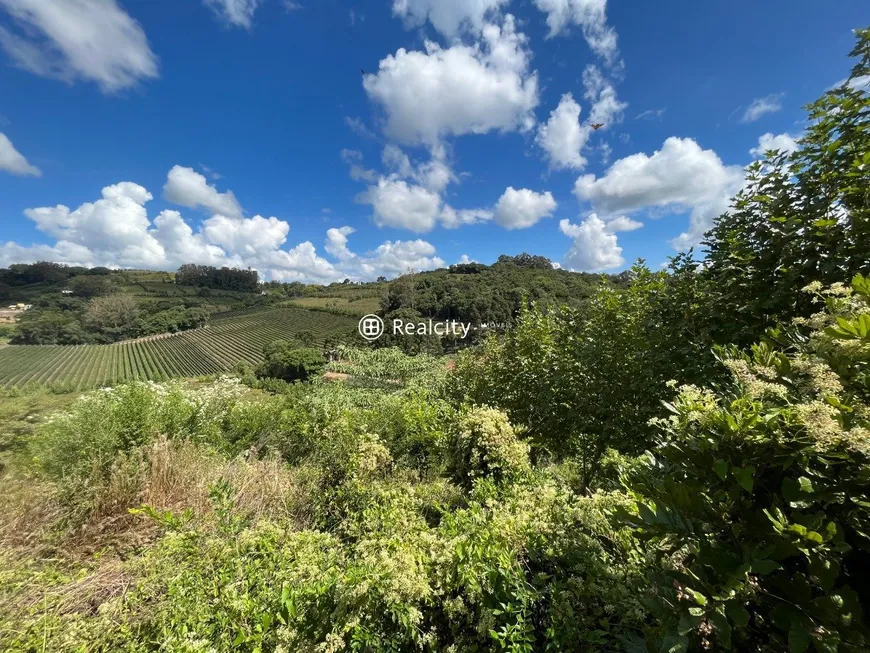 Foto 1 de Lote/Terreno à venda, 10000m² em Vale dos Vinhedos, Bento Gonçalves