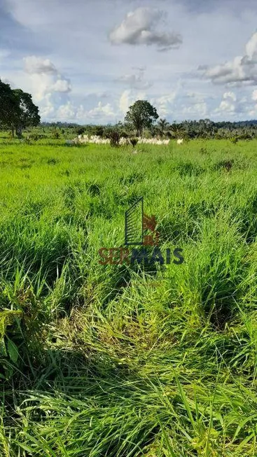 Foto 1 de Fazenda/Sítio à venda, 653400m² em , 