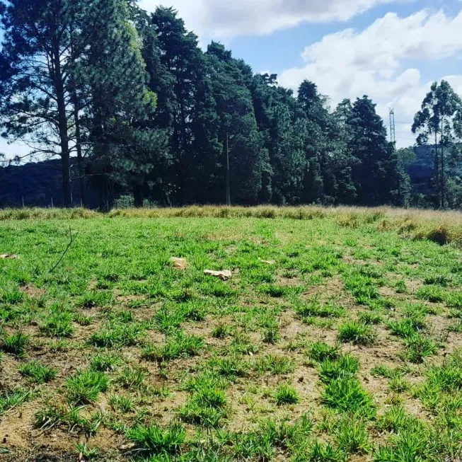 Foto 1 de Lote/Terreno à venda, 500m² em Centro, Ibiúna