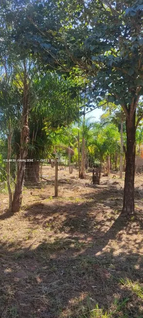 Foto 1 de Lote/Terreno à venda, 600m² em Piraputanga, Aquidauana