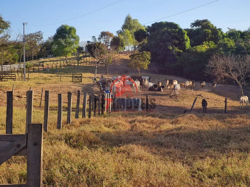 Foto 1 de Lote/Terreno à venda, 9m² em , Aragoiânia