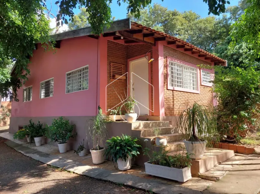 Foto 1 de Fazenda/Sítio com 6 Quartos à venda, 900m² em Conjunto Habitacional Vila dos Comerciarios II, Marília