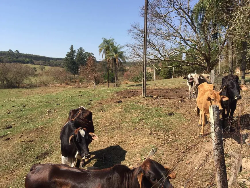 Foto 1 de Fazenda/Sítio com 3 Quartos à venda, 42200m² em Pinheiros, Artur Nogueira