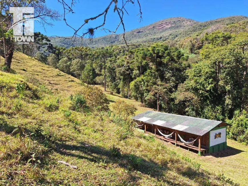 Foto 1 de Fazenda/Sítio com 5 Quartos à venda, 388m² em Zona Rural, Baependi