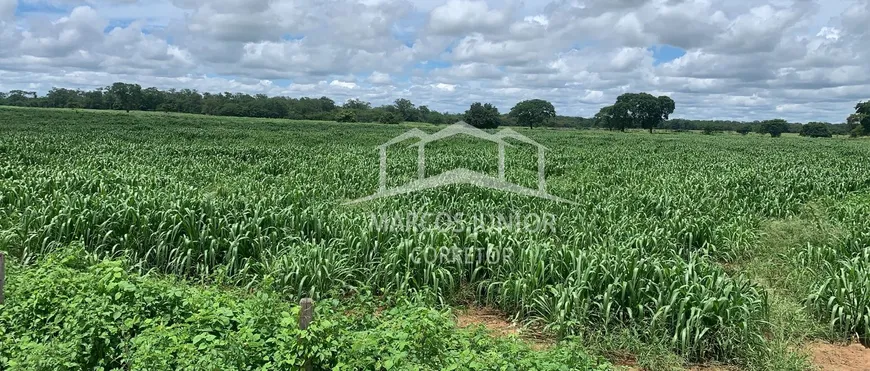 Foto 1 de Fazenda/Sítio à venda em Zona Rural, Janaúba