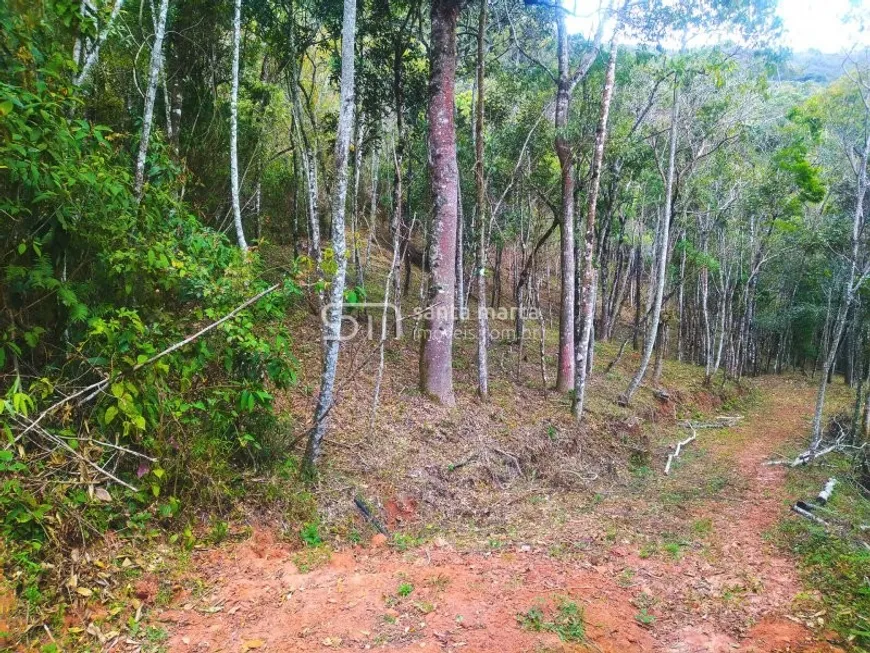 Foto 1 de Fazenda/Sítio com 1 Quarto à venda, 5000m² em , Delfim Moreira