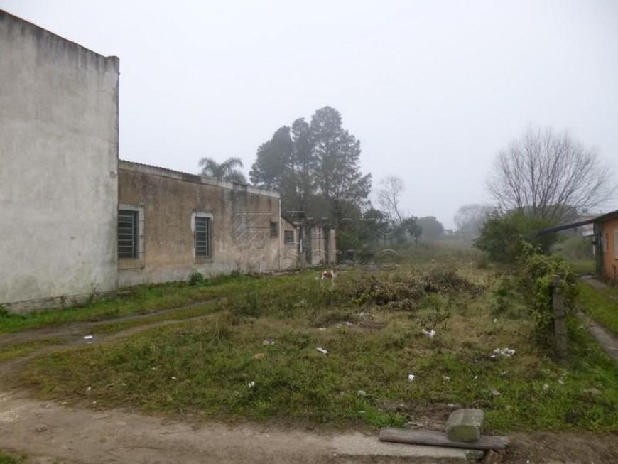 Foto 1 de Lote/Terreno para alugar, 970m² em Fragata, Pelotas