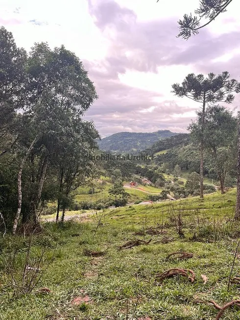 Foto 1 de Lote/Terreno à venda em Baiano, Urubici