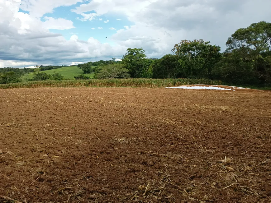 Foto 1 de Fazenda/Sítio com 3 Quartos à venda, 121000m² em Zona Rural, Monte Santo de Minas