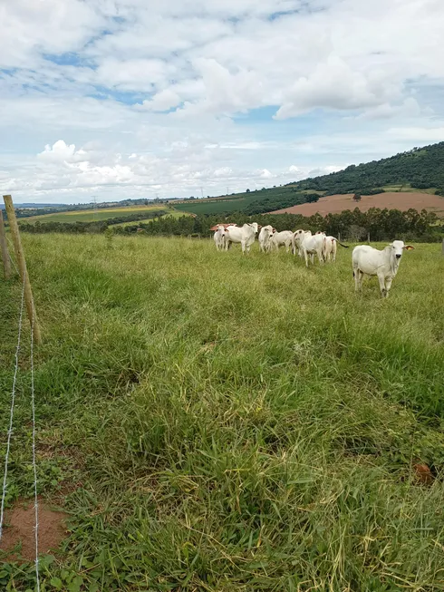 Foto 1 de Fazenda/Sítio com 1 Quarto à venda, 48400m² em Zona Rural, Monte Santo de Minas