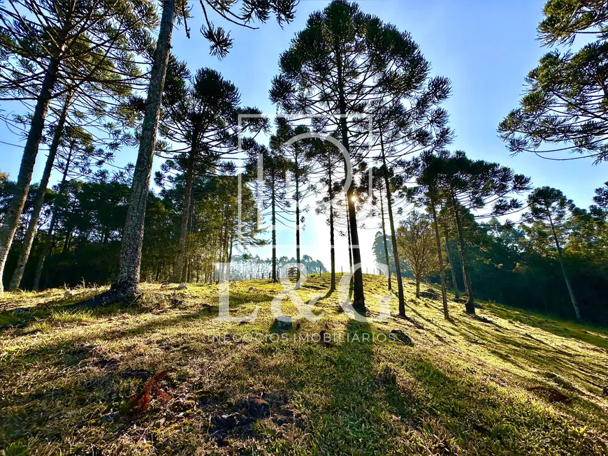 Foto 1 de Fazenda/Sítio à venda, 120000m² em Campinas, Campo Alegre