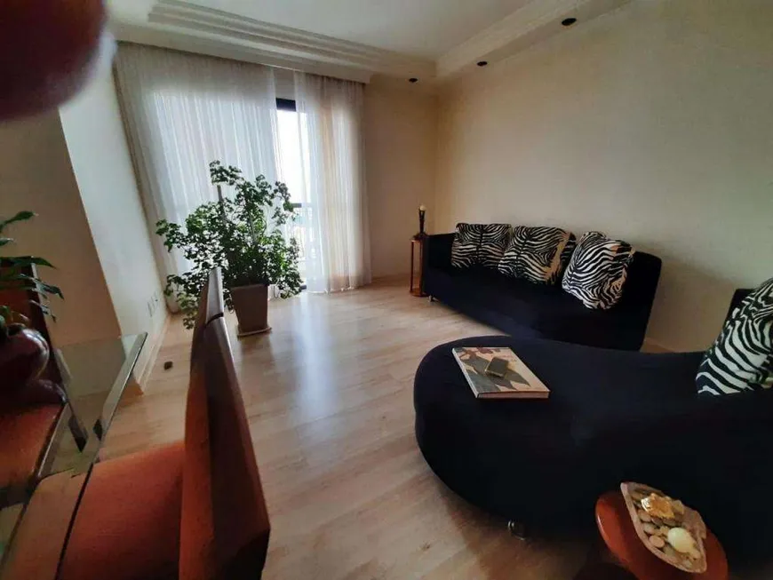 Foto 1 de Apartamento com 3 Quartos à venda, 71m² em Cambuci, São Paulo