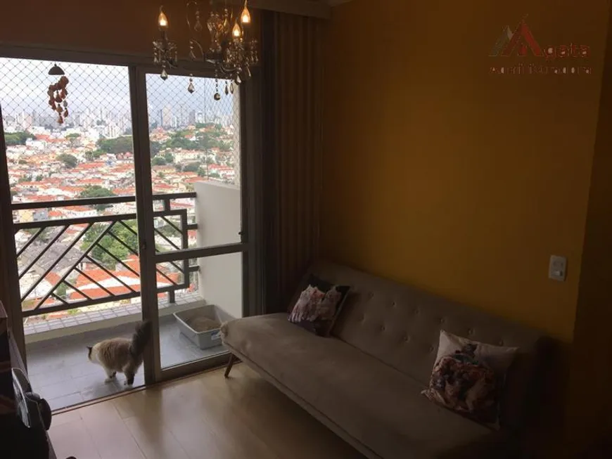 Foto 1 de Apartamento com 2 Quartos à venda, 55m² em Vila Ipojuca, São Paulo