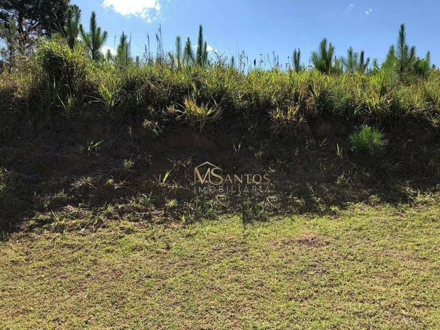 Foto 1 de Lote/Terreno à venda, 450m² em Itacorubi, Florianópolis