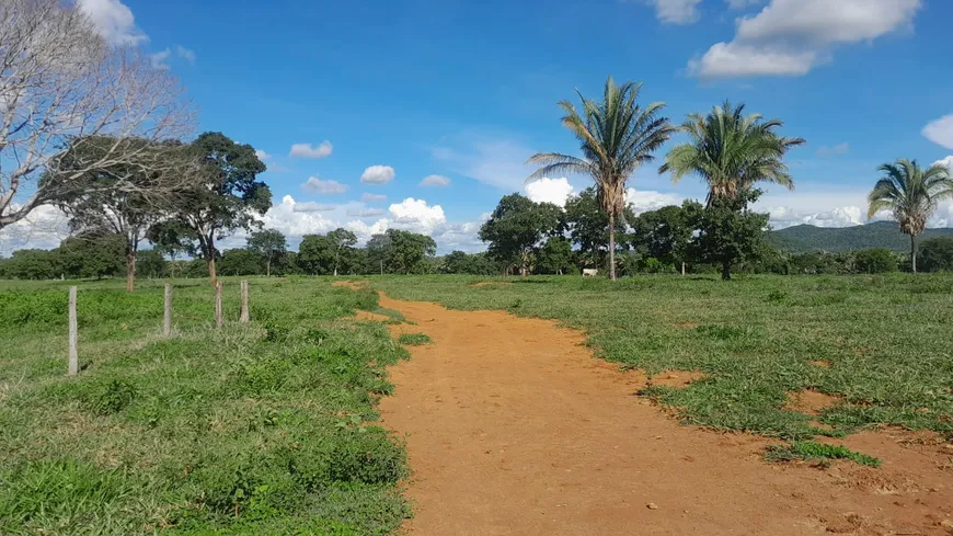 Foto 1 de Fazenda/Sítio com 5 Quartos à venda, 19m² em , Jussara