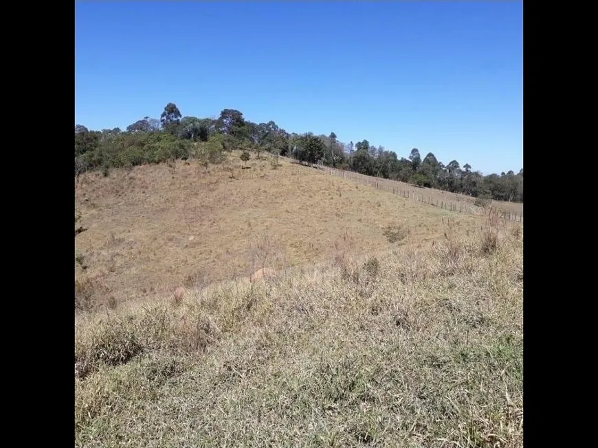 Foto 1 de Fazenda/Sítio à venda, 192000m² em Cachoeirinha , Pinhalzinho