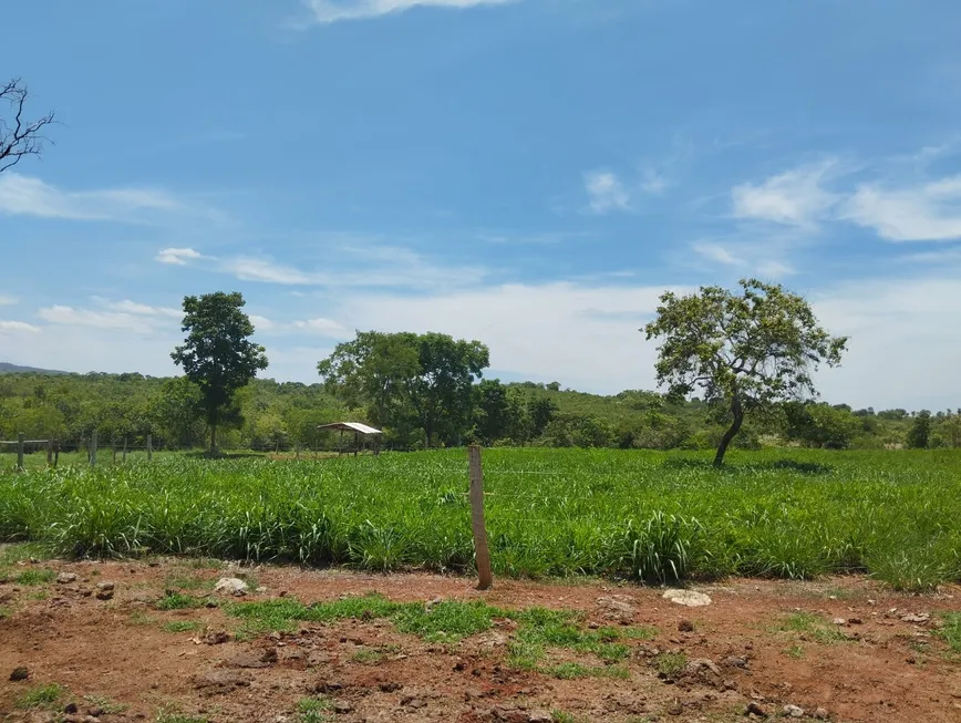 Foto 1 de Fazenda/Sítio com 2 Quartos à venda, 13000m² em Zona Rural, Faina