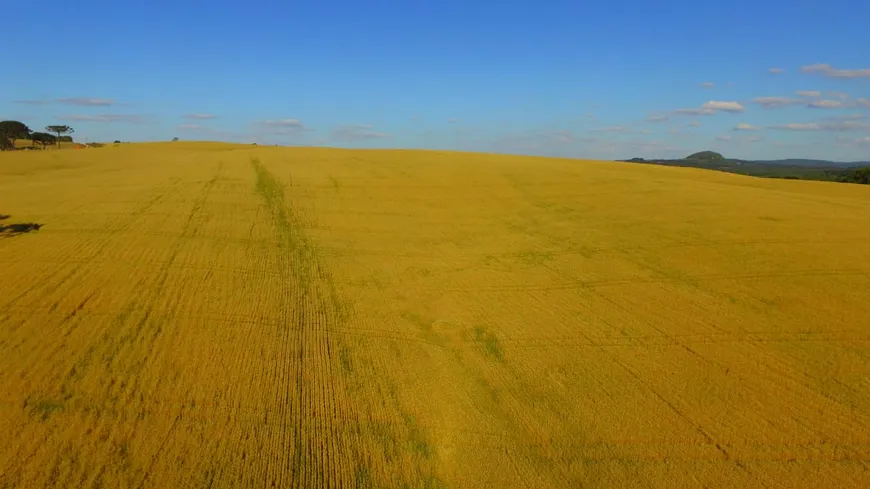 Foto 1 de Fazenda/Sítio à venda, 1157300m² em Centro, Campo do Tenente