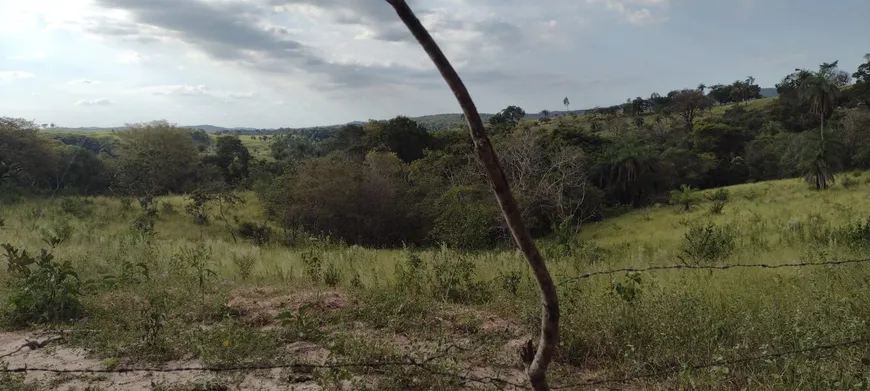 Foto 1 de Lote/Terreno à venda, 60000m² em Florestal, Florestal