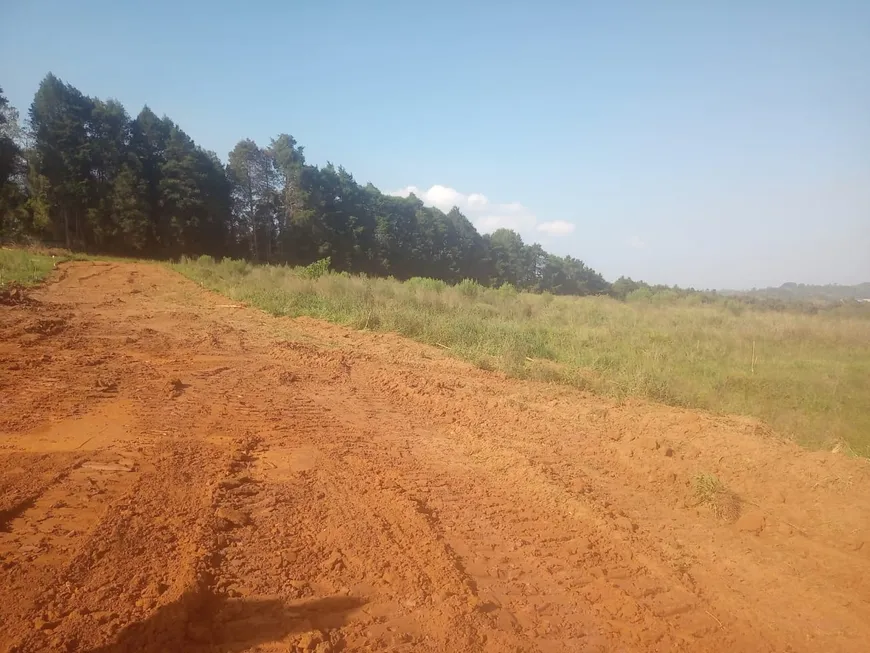 Foto 1 de Lote/Terreno à venda, 500m² em Cachoeira, Cotia