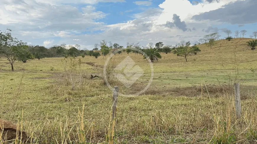 Foto 1 de Fazenda/Sítio à venda, 4378000m² em , Varjão