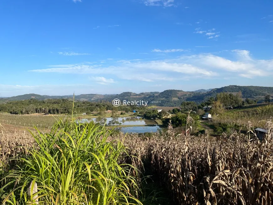 Foto 1 de Lote/Terreno à venda, 20000m² em , Monte Belo do Sul