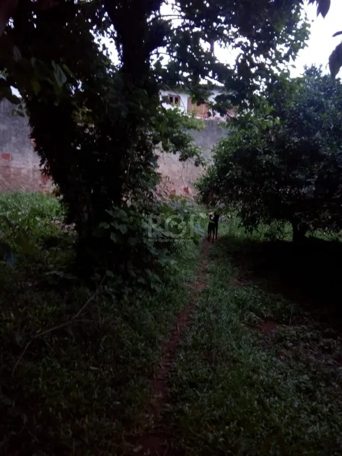 Foto 1 de Lote/Terreno à venda, 1m² em Cavalhada, Porto Alegre