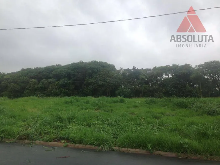 Foto 1 de Lote/Terreno à venda, 336m² em Jardim Pau Brasil, Americana