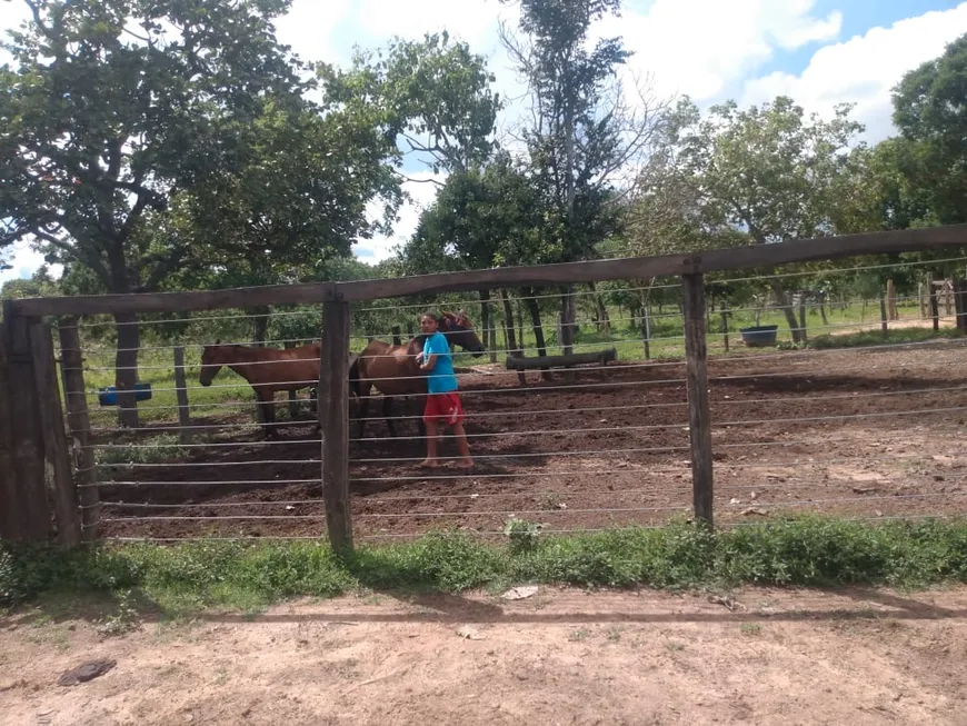 Foto 1 de Fazenda/Sítio à venda, 5904800m² em Zona Rural, Arraias