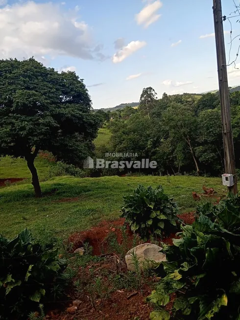 Foto 1 de Fazenda/Sítio à venda, 72600m² em , Guaraniaçu