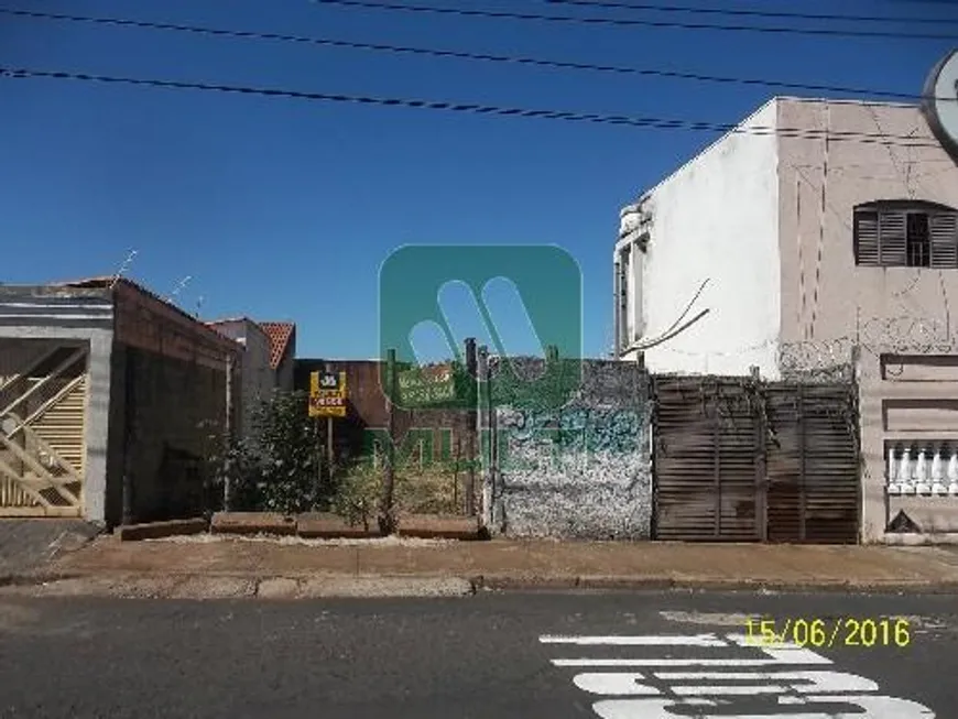 Foto 1 de Lote/Terreno com 1 Quarto à venda, 250m² em Brasil, Uberlândia