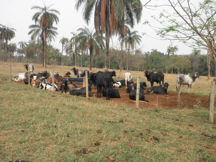 Foto 1 de Fazenda/Sítio à venda, 2800000m² em Rural, Abaeté