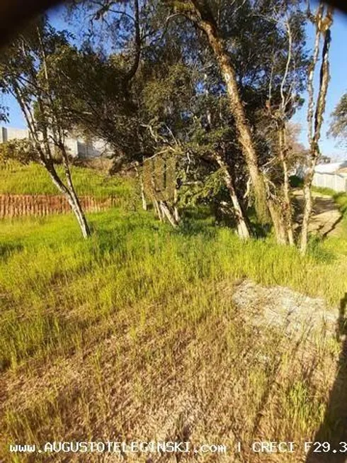 Foto 1 de Lote/Terreno à venda, 1900m² em Barro Preto, São José dos Pinhais