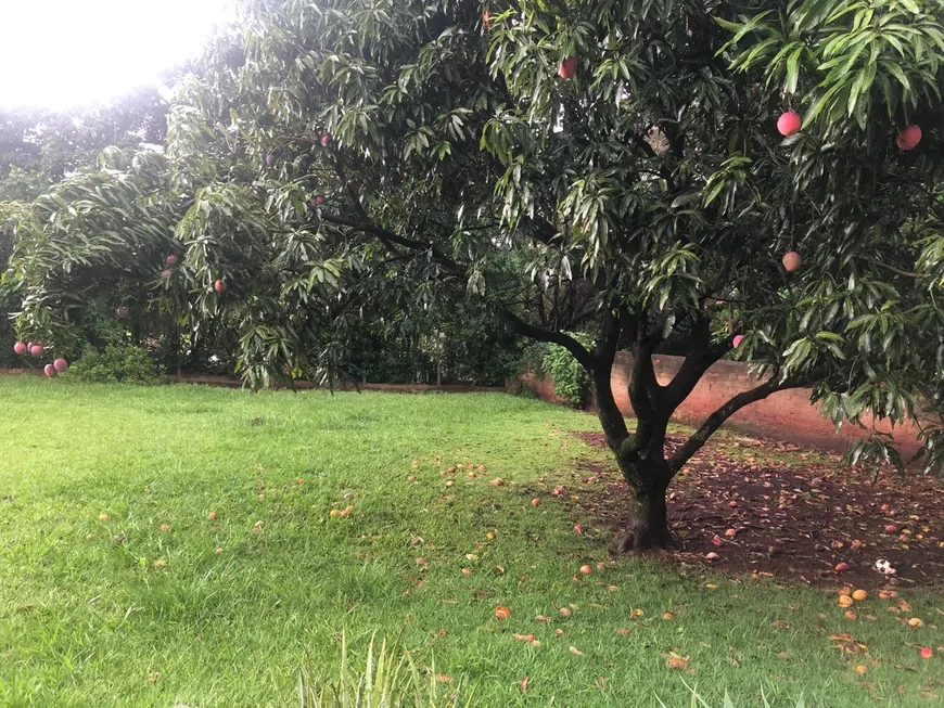 Foto 1 de Fazenda/Sítio com 3 Quartos à venda, 300m² em Bananal, Campinas