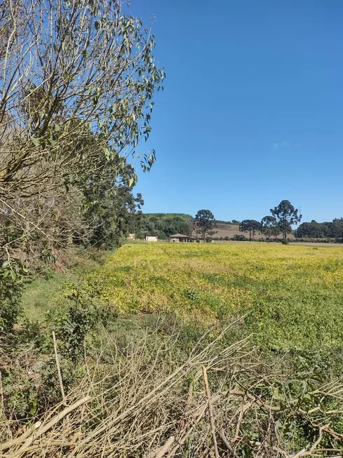 Foto 1 de Lote/Terreno à venda, 12000m² em Campo Grande, Almirante Tamandaré