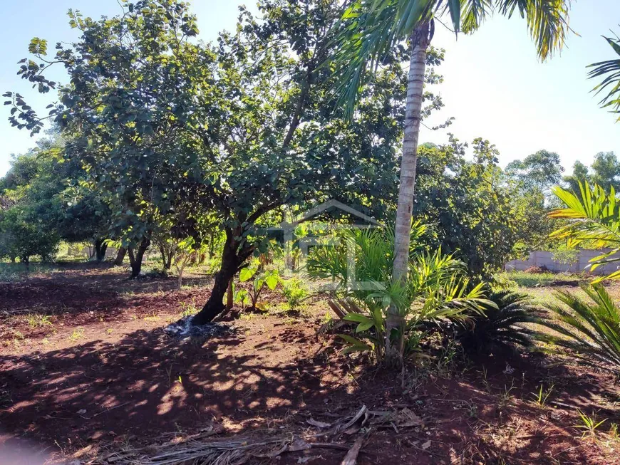 Foto 1 de Fazenda/Sítio com 1 Quarto à venda, 100m² em Parque das Industrias, Londrina